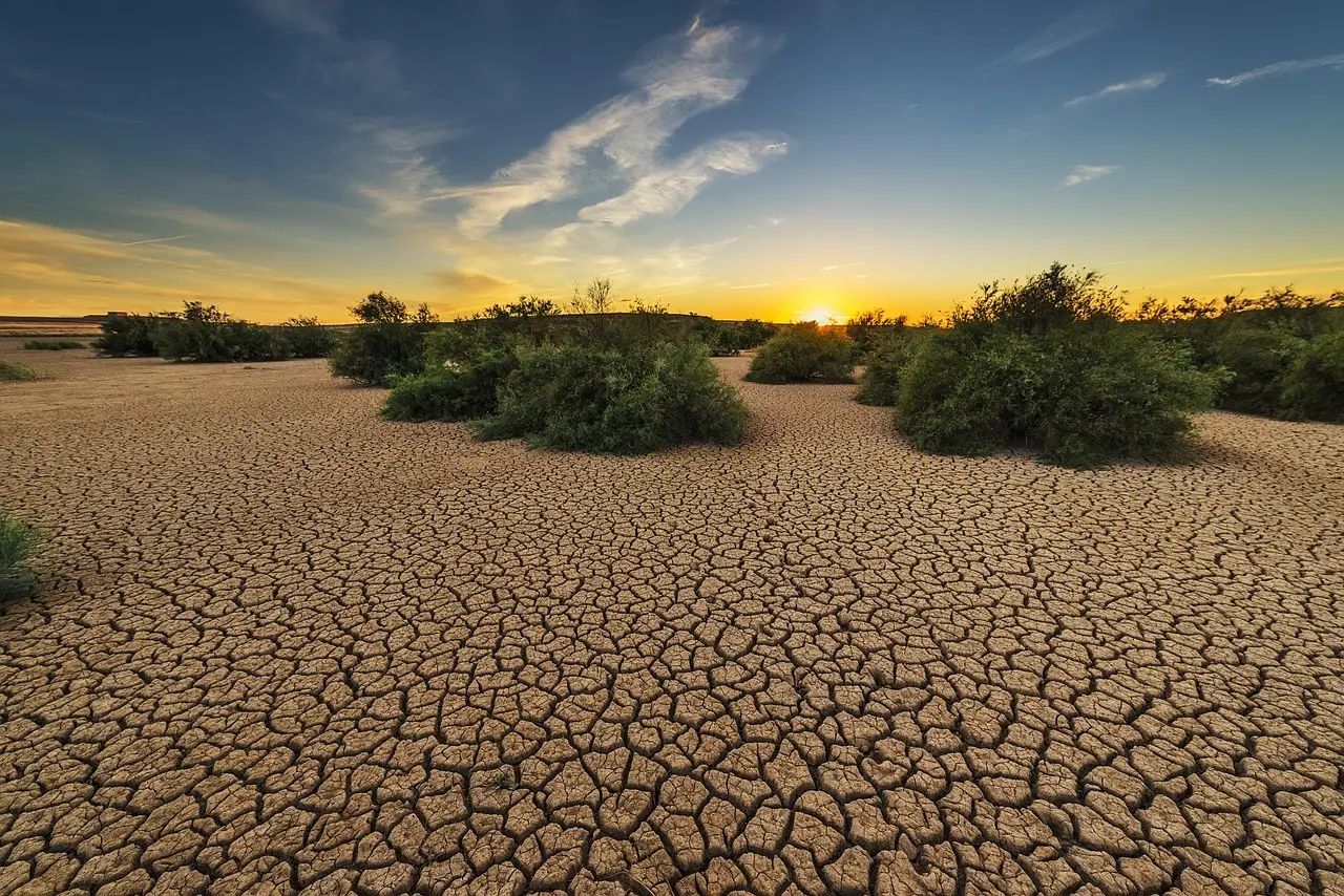 New study reveals major impact of climate change on skin - Medical Independent