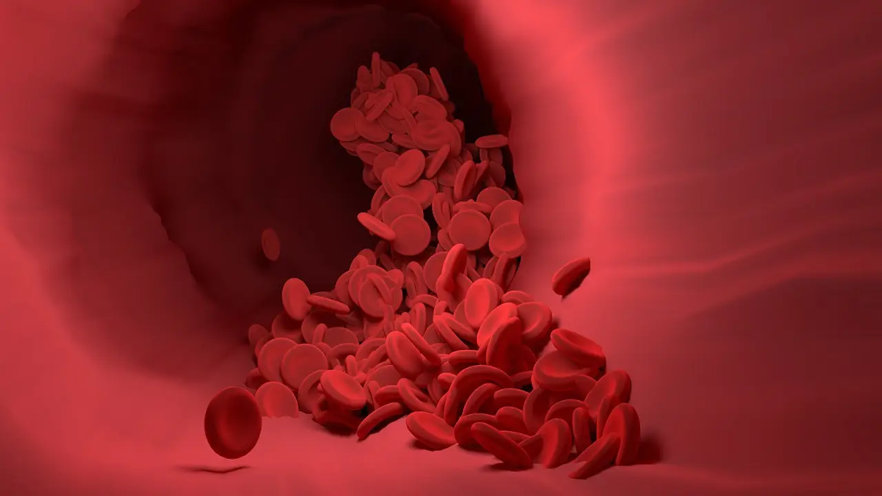 Hidden Switch Lets Melanoma Cells Flip Into Metastasis Mode, Study Finds - Bioengineer.org