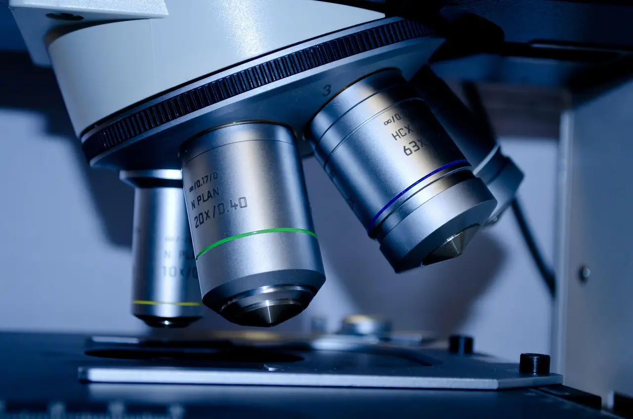CXCR4 emerges as a dermal immune signal hub in psoriasis, single-cell and spatial study finds - Bioengineer.org