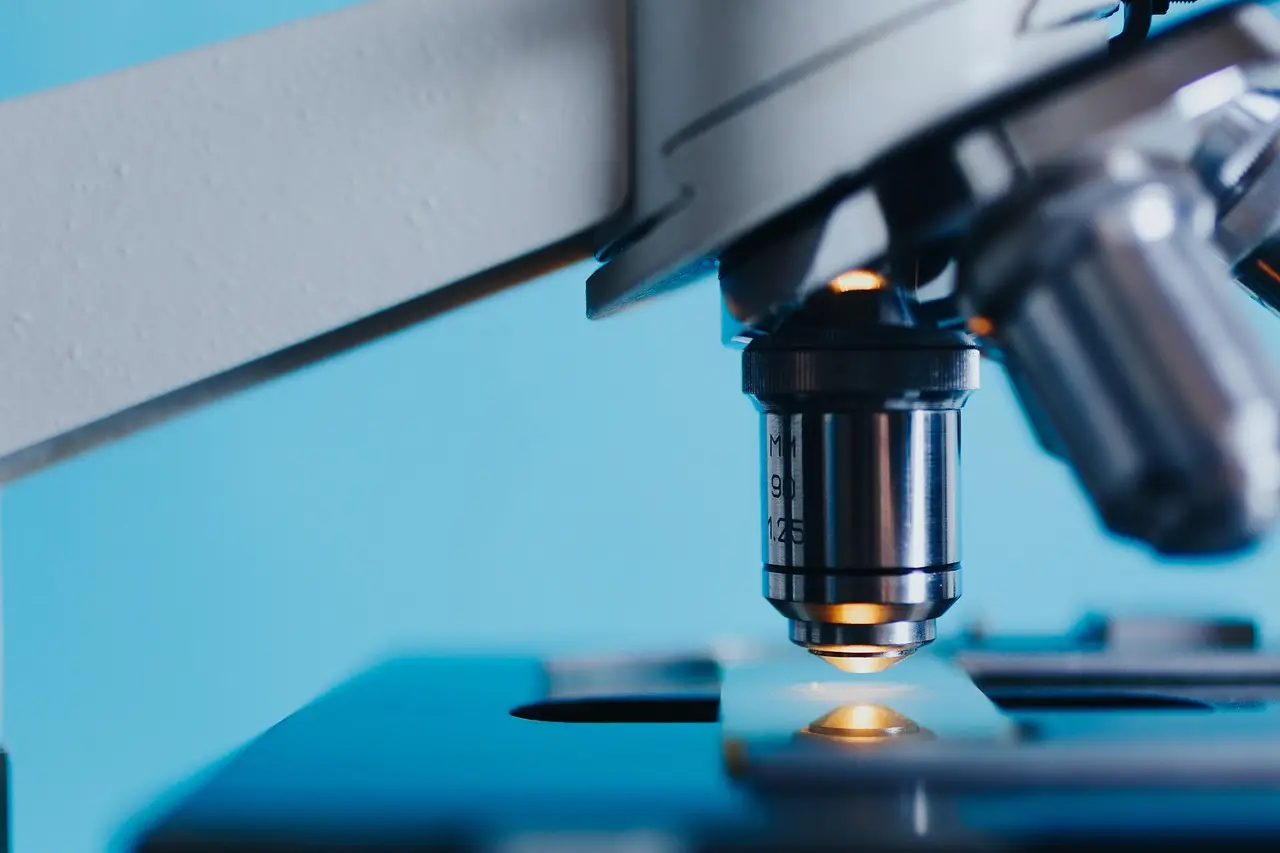 Checkpoint Gene Signatures Reveal Three Melanoma Immune Types With Sharply Different Survival Odds - Bioengineer.org